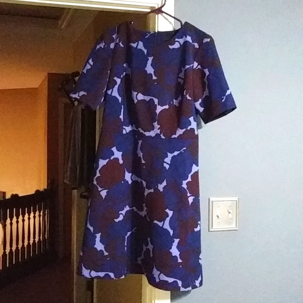 Anne taylor dress